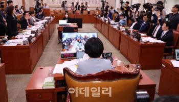 국감 표적된 MBK…김병주 회장 정조준[마켓인]