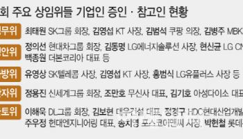 "밤까지 또 병풍 세우려나"…기업인 국감 증인 '역대 최대'