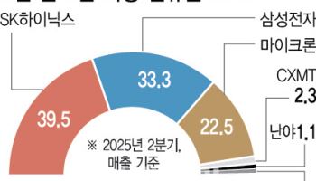 판도 바뀐 D램 시장…SK하이닉스 우위 당분간 지속할듯