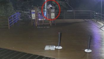 추석 밤 대왕암 출렁다리 난간 넘던 남성…CCTV로 보고 구했다