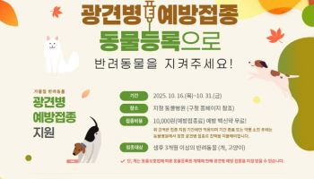 서대문구, 가을철 '댕냥이' 광견병 예방접종 지원[동네방네]