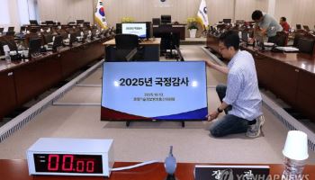 “출석 안 한다”…유통 수장들 국감 증인서 줄줄이 제외