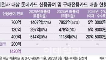MBK 자금줄 된 롯데카드…계열사에 5년간 1400억대 신용공여