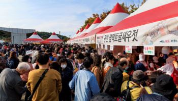 옛 마포나루터의 정취를 한눈에…'마포나루새우젓축제' 개최