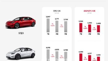 테슬라 배터리 논란 여파…모델3·모델Y 중고차 시세 '뚝'