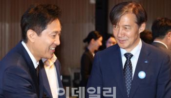 "강남에 초대형 선물 안겨주려"...조국, 연일 오세훈 겨냥