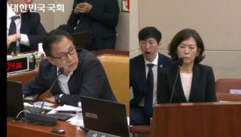 “비관세 장벽이 아니라 비관세 특혜”…국회, 구글 ‘조세회피·망대가’ 정조준