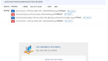 '李정부 부동산 대책' 관심 폭발 우르르…서버 마비