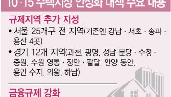 강남3구처럼 노도강까지 봉쇄…'보유세 강화'도 예고