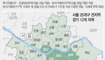 서울 풍선효과 전면 차단 고가주택 ‘정조준’…“전이 막는 암수술”