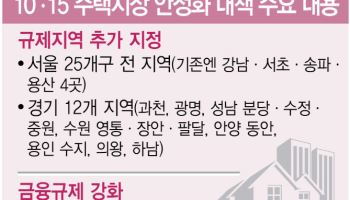 '15일 계약은 규제 미적용'…은행보다 복덕방 먼저 찾은 실수요자