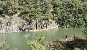 충주 출렁다리서 추락한 40대 여성…숨진 채 발견