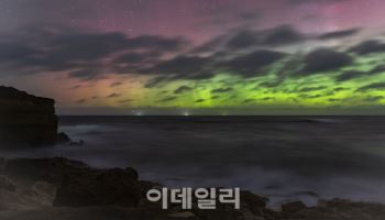 "북유럽 말고 호주에서도"…교원투어 태즈메이니아 오로라 여행 출시