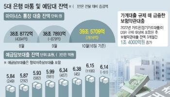 "일단 뚫어놓자" 보름만에 마통 8000억원↑…대출규제 풍선효과