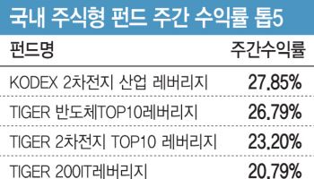 ESS 성장 기대로 2차전지 '껑충'…ETF 수익률 순위권 '싹쓸이'[펀드와치]