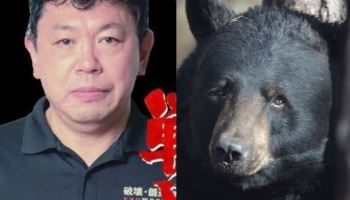 “노천탕 청소 중 곰의 습격”…결국 사망한 프로레슬링 거물