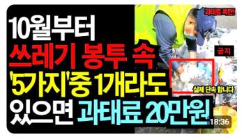 "종량제봉투에 라면봉지...과태료 20만원?" 어떻게 버리나