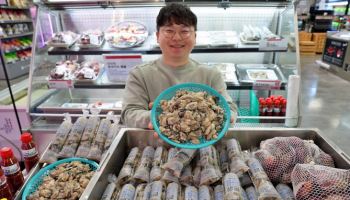 “겨울 별미 돌아왔다” 롯데마트, 생굴 판매 개시