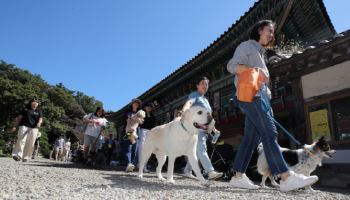 반려견과 걷고 명상을…봉선사, 25일 '선명상 축제' 연다