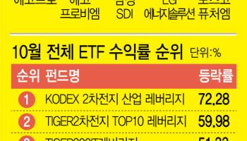 "죽은 줄 알았는데 부활했다" 개미들 환호…2차전지 불기둥