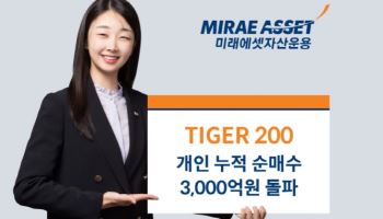 TIGER 200 ETF, 연초 이후 개인 순매수 3000억 돌파