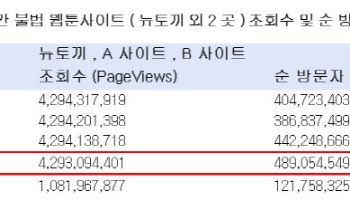 불법 웹툰사이트 `연간 방문자` 4.9억명…韓인구의 9배