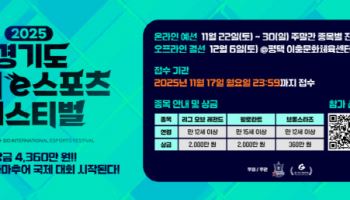 총상금 4630만원, LoL·발로란트·브롤 아마 최강자는 누구