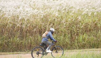 가벼운 옷차림 ‘필수’…낮 최고기온 16~23도 