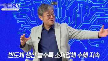 AI반도체 강국의 역설...내수 시장 없이는 수출도 없다
