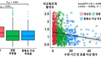치매 유발하는 수면무호흡증, ‘뇌 노폐물 배출 저하’가 핵심 경로
