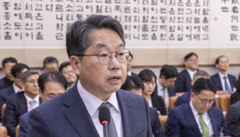 검찰총장 대행 "尹부부 내란자금 의혹 수사, 진전 내용 없어"