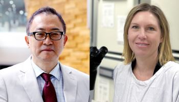 차광렬 줄기세포상' 12회 수상자 호주 멜버른대 케이티 아이어스 교수 선정