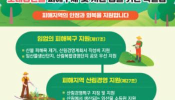 산불로 삶의 터전 잃은 주민들, 국가가 보듬는다