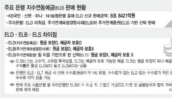 ‘코스피 4000 불장’에…은행 ELS 판매 희비 엇갈려