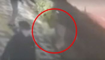 무면허 중학생 킥보드 또 사고…산책 중 강아지 들이받아