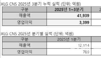 LG CNS 3Q 영업익 3399억원, 8.7%↑ "AI·클라우드 성장 견인"