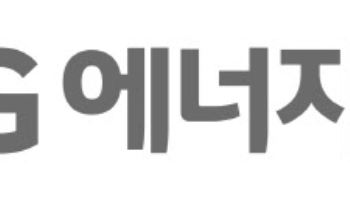 "각형 LFP, 다수 전략 고객과 협력해 제품 개발 중"-LG엔솔 컨콜