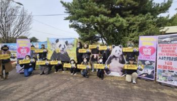 시진핑 경주 온 날 "푸바오 돌려달라" 외친 동물단체