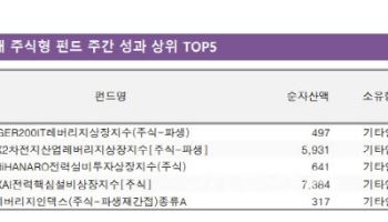 “슈퍼사이클 진입”…‘AI 랠리’에 전력설비 ETF 날았다[펀드와치]