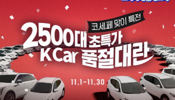 케이카, 코리아 세일페스타 인가차량 특가전
