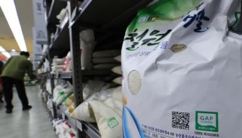 쌀·빵·달걀 가격 다 올라…고환율에 물가 ‘직격탄’(상보)