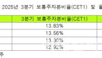 4대 금융 "자본적정성 충분하다"…주주환원율 50% 시대 순항