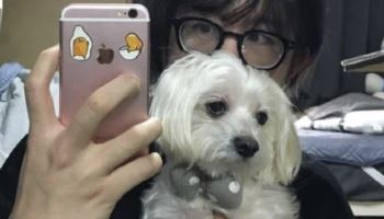 “성추행 당했다” 무고로 120만 유튜버 은퇴시킨 女 BJ, 결국