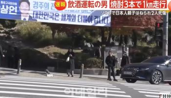 '日 모녀' 덮친 음주운전자, 오늘 오후 구속 심사