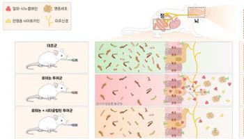 당뇨약, 파킨슨병 진행 막는다