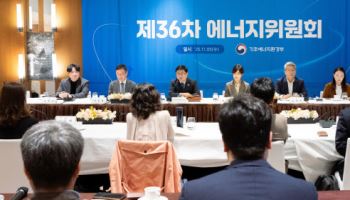 전남·제주·부산·경기 4곳 첫 분산특구 지정…전력 직거래 허용