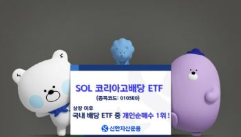 신한운용 'SOL코리아고배당', 개인순매수 800억 돌파…배당 ETF 중 1위