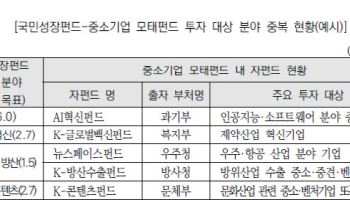 '정책펀드 너무 많다' 150조 국민성장펀드 출범 앞두고 경고음