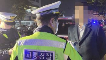 '日관광객 모녀 참변' 거리에서 또…음주운전 무더기 적발