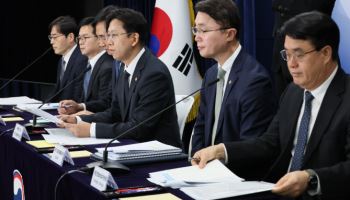범부처 정보보호 종합대책, 글로벌 빅테크에 사각지대